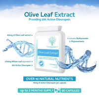 swiss bioenergetics Olive Leaf Extract 6750mg Whole Leaf Equivalent - 60 Capsules - Containing 20% Active Oleuropein