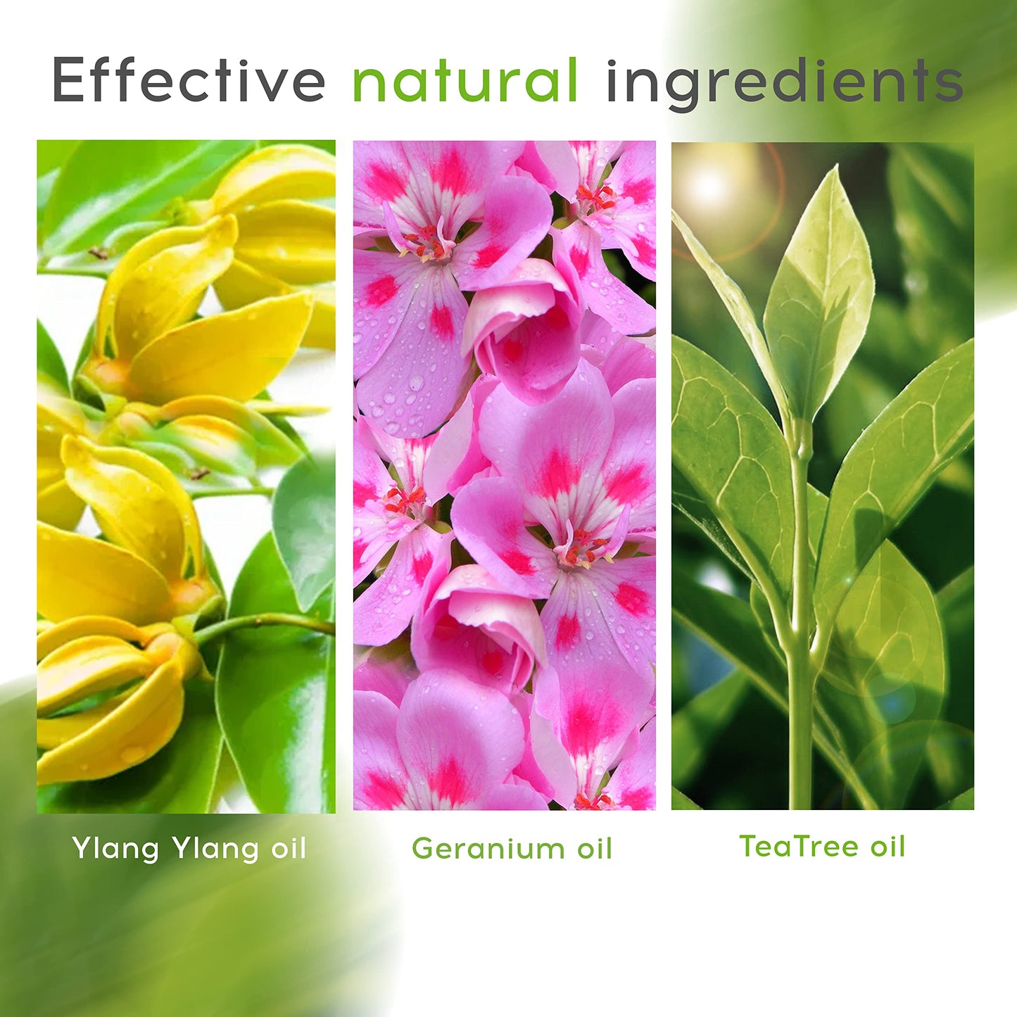 Rosacea Relief Natural Hair Treatment - Mama Nature ProSkin Hair Scalp Healing. Soothing and Moisturising. Dermatologist Recommended. 120 ml