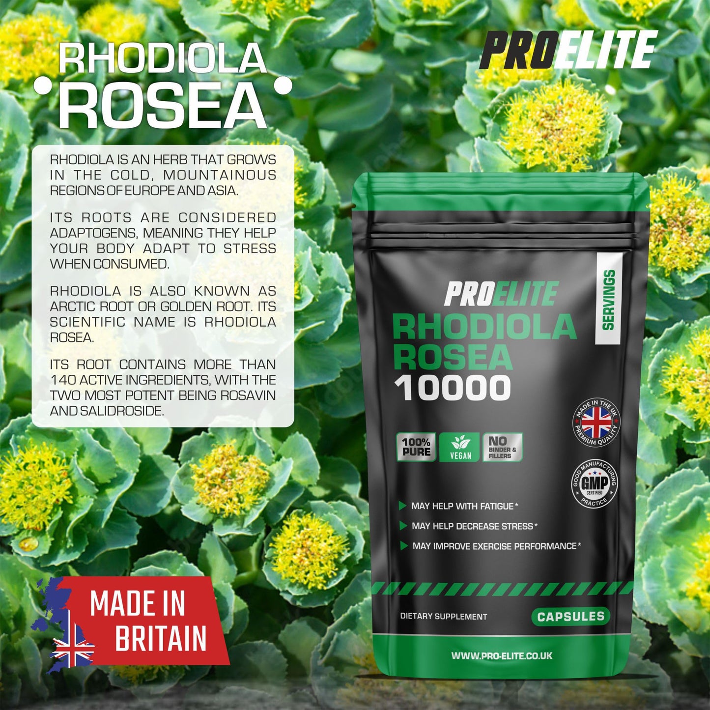 Rhodiola Rosea Extract 500mg 30 Vegan Capsules | 3% Standardised Rosavins 1% Salidrosid | Arctic Root Nootropic Adaptogen Supplement | Premium Rhodiola Root Extract | Made in UK by PROELITE