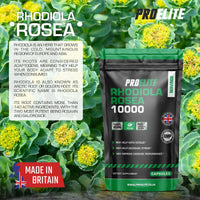 Rhodiola Rosea Extract 500mg 30 Vegan Capsules | 3% Standardised Rosavins 1% Salidrosid | Arctic Root Nootropic Adaptogen Supplement | Premium Rhodiola Root Extract | Made in UK by PROELITE