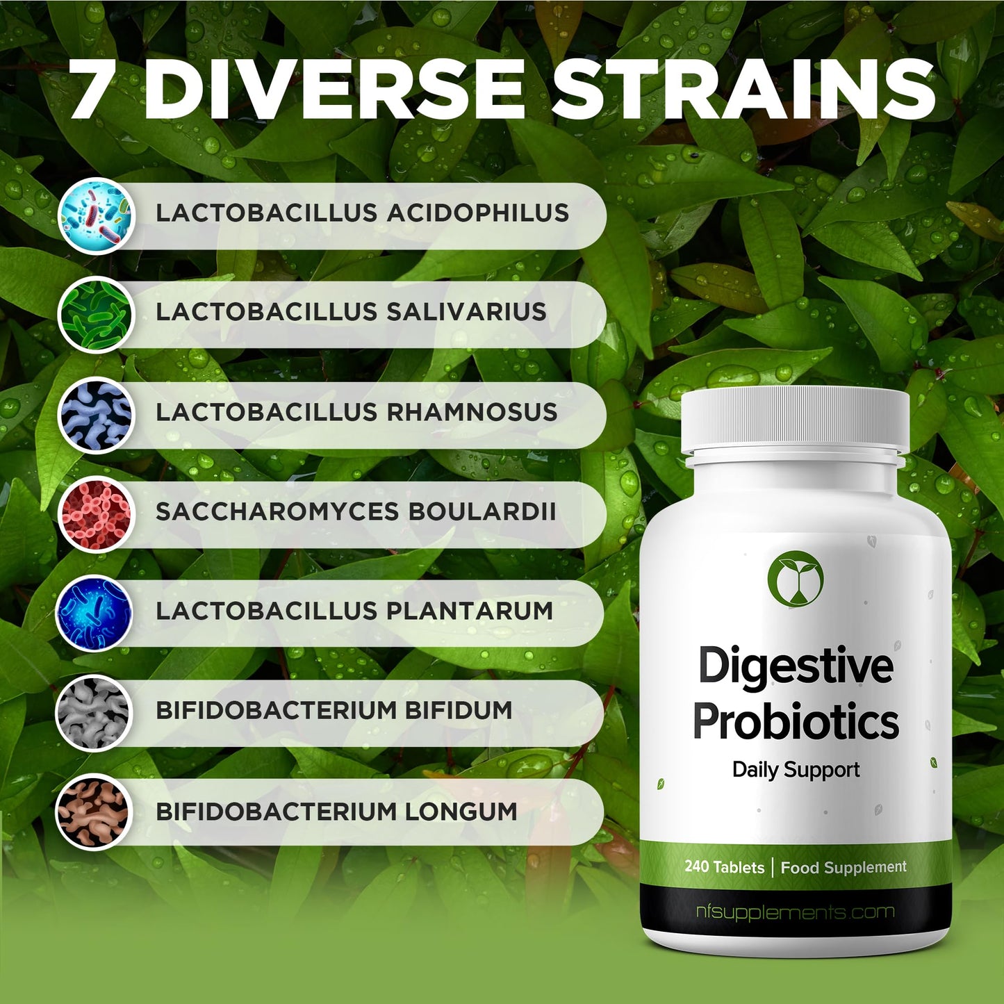 Digestive Probiotics for Gut Health 240 Tablets Supports Immune System & Digestive Health Made in The UK 3 Billion CFU Probiotic Supplement for Men & Women (240, Digestive Probiotics)