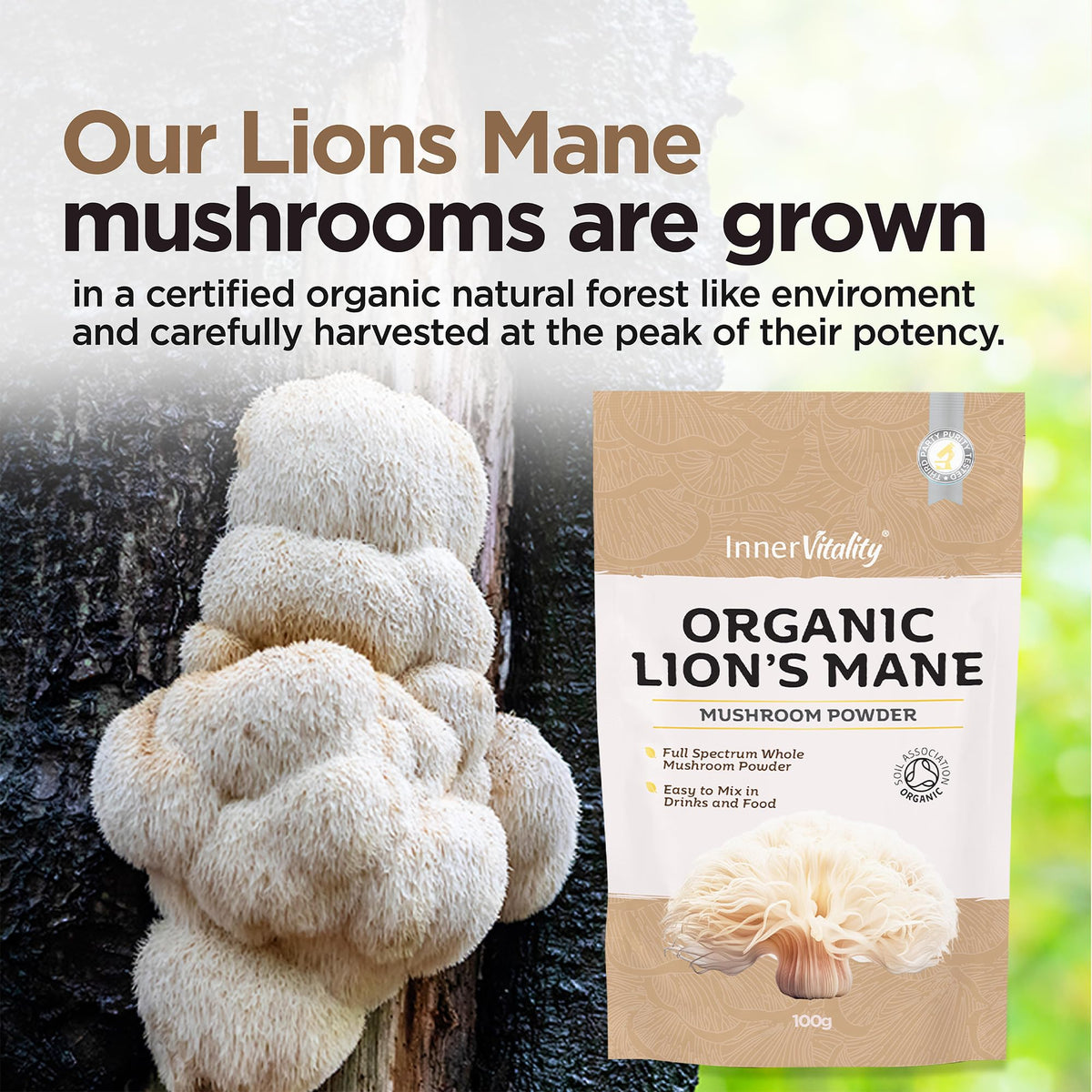 Organic Lions Mane Mushroom Powder, Brain Support & Focus High Strength Full-Spectrum Supplement for Mental Performance - 100g by Inner Vitality