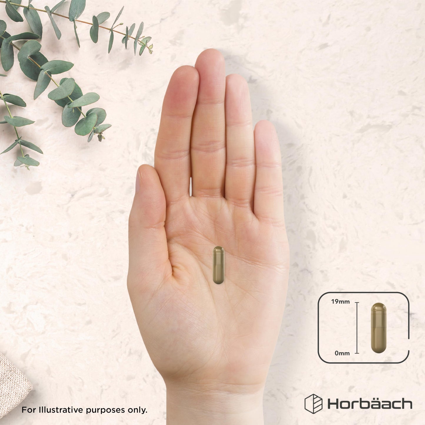 Horbäach Olive Leaf Extract Capsules 20,000mg | Wild European 20% Oleuropein | High Strength Supplement | 90 Vegan Capsules | Horbaach