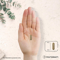Horbäach Olive Leaf Extract Capsules 20,000mg | Wild European 20% Oleuropein | High Strength Supplement | 90 Vegan Capsules | Horbaach