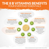 Vitamin B Complex High Strength - 180 Vegan Tablets - 6 Month Supply - Contains All 8 B Vitamins in 1 Tablet - Vitamins B1, B2, B3, B5, B6, B12, Biotin & Folic Acid - Nu U Nutrition