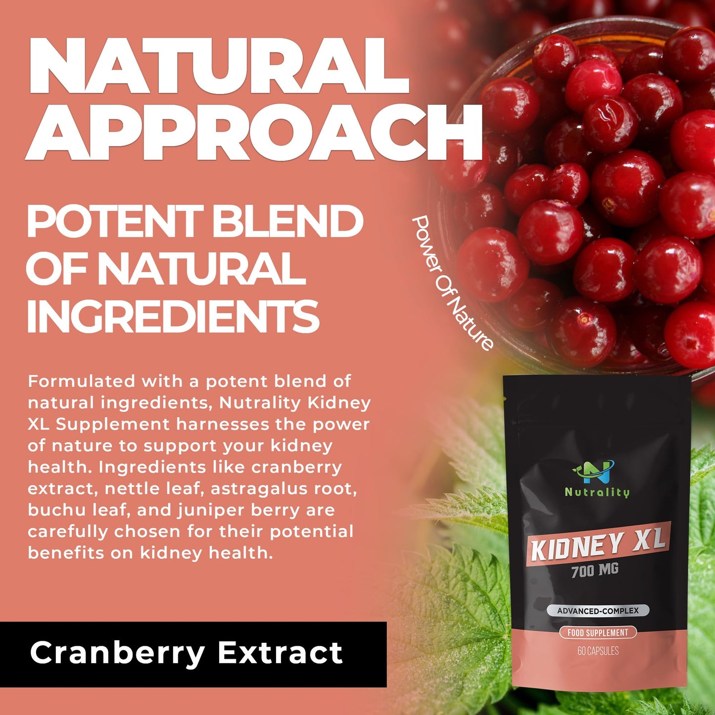 Nutrality Kidney XL Supplement 700mg Advanced Complex | Promotes Healthy Kidney Function and Urinary Tract Health | Natural Ingredients, Cranberry Extract | 60 Capsules. Vegan