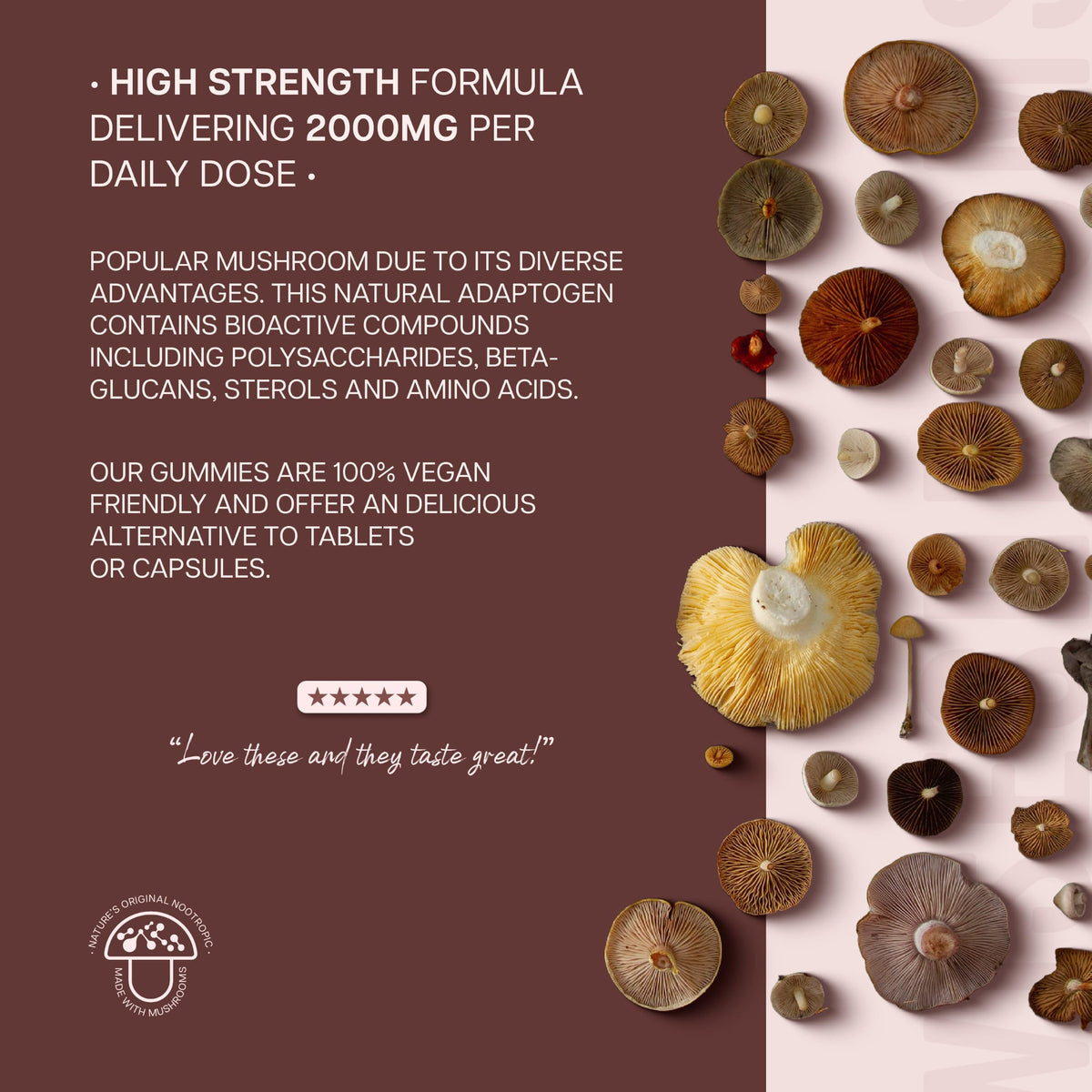 Lions Mane Gummies 60,000mg Per Bottle | High Strength Supplement from Fruit Body | Vegan Mushroom Extract | 1000mg x 60 Natural Berry Flavour Gummies | by Wiseshrooms