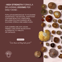 Lions Mane Gummies 60,000mg Per Bottle | High Strength Supplement from Fruit Body | Vegan Mushroom Extract | 1000mg x 60 Natural Berry Flavour Gummies | by Wiseshrooms