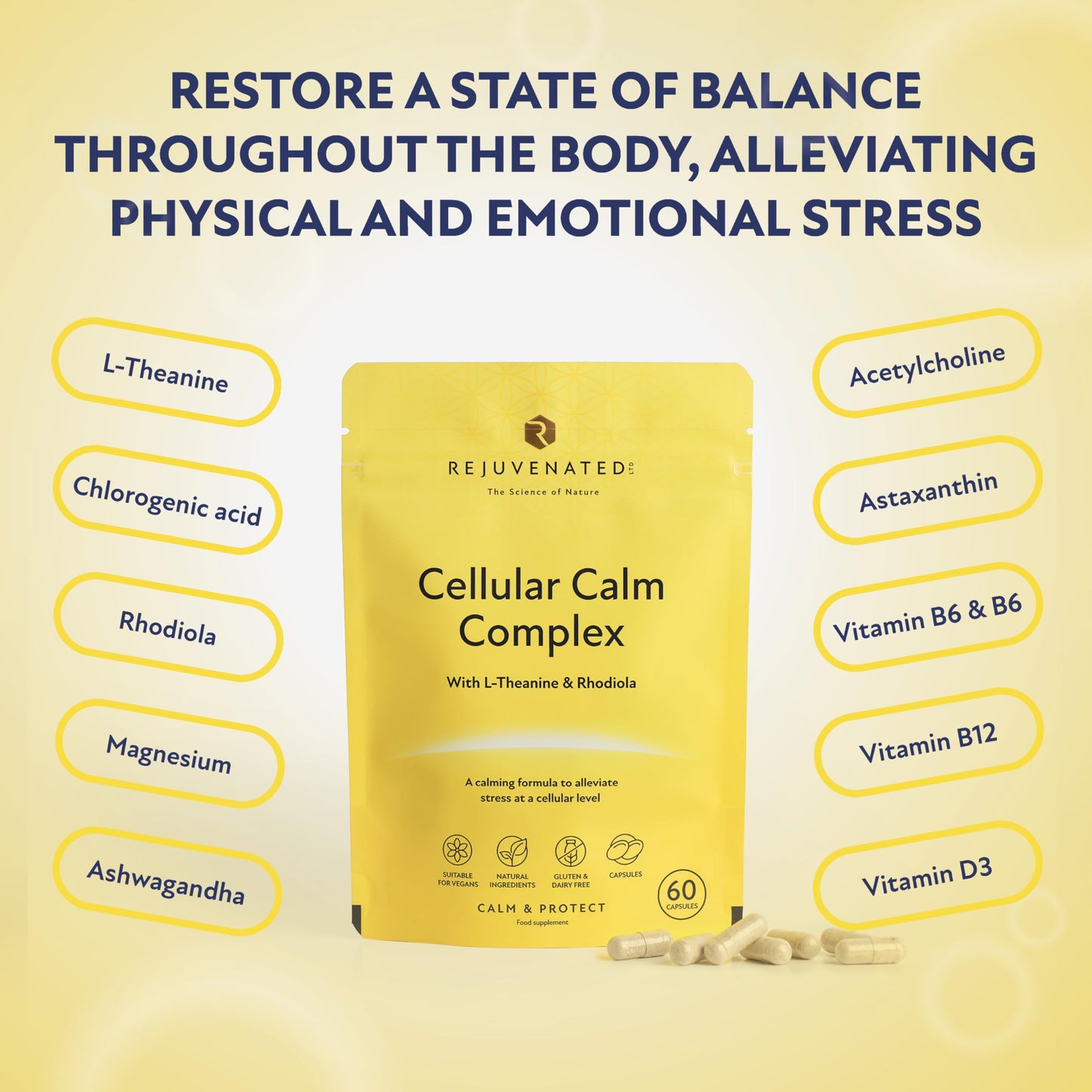 Rejuvenated Limited Rejuvenated Cellular Calm Complex - Nootropic & Adaptogen Blend for Stress & Anxiety Relief for Adults - Calming Formula and Stress Relief Supplement with L-Theanine & Rhodiola (60 Capsules)
