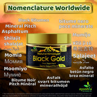 Ayushya Black Gold Pure Himalayan Shilajit Resin - Plant Derived Fulvic Minerals Immune Support - 25 grm/ml