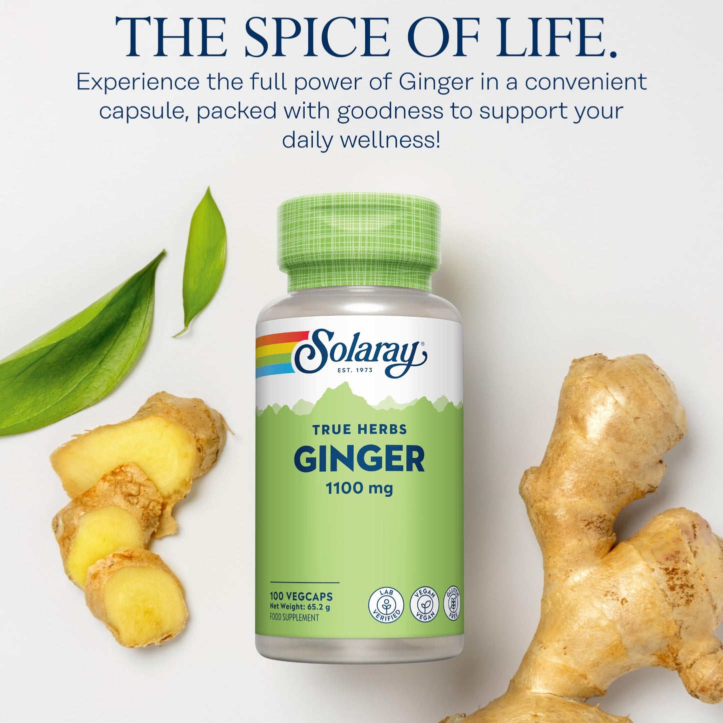 SOLARAY Ginger - 100 Vegan Capsules - High Strength Ginger Supplement Not Tablets or Shot - Zingiber Officinale Root - Non GMO & Lab Verified - Solaray
