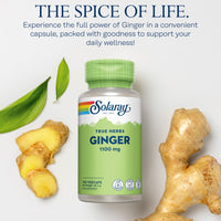 SOLARAY Ginger - 100 Vegan Capsules - High Strength Ginger Supplement Not Tablets or Shot - Zingiber Officinale Root - Non GMO & Lab Verified - Solaray