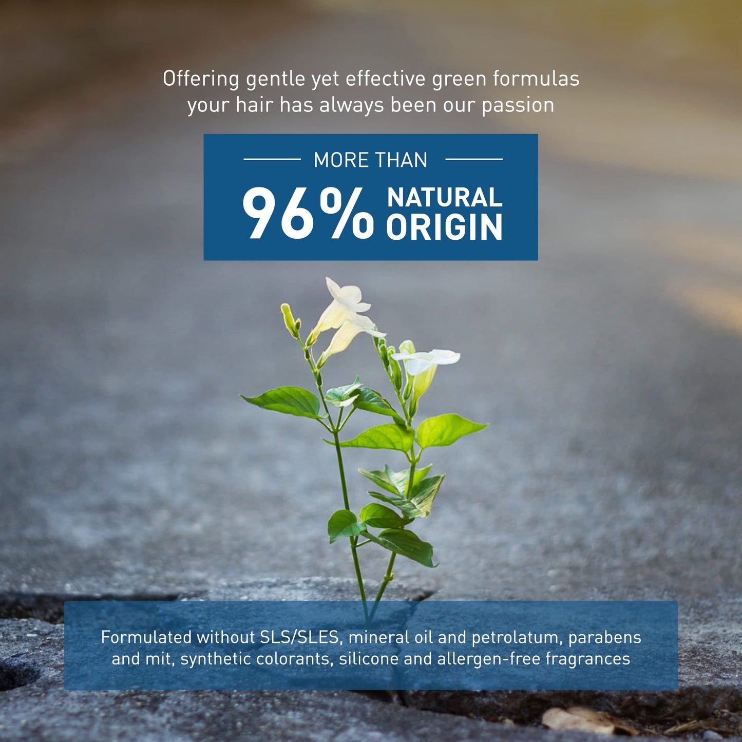 Insight Energizing Mask 250 ml