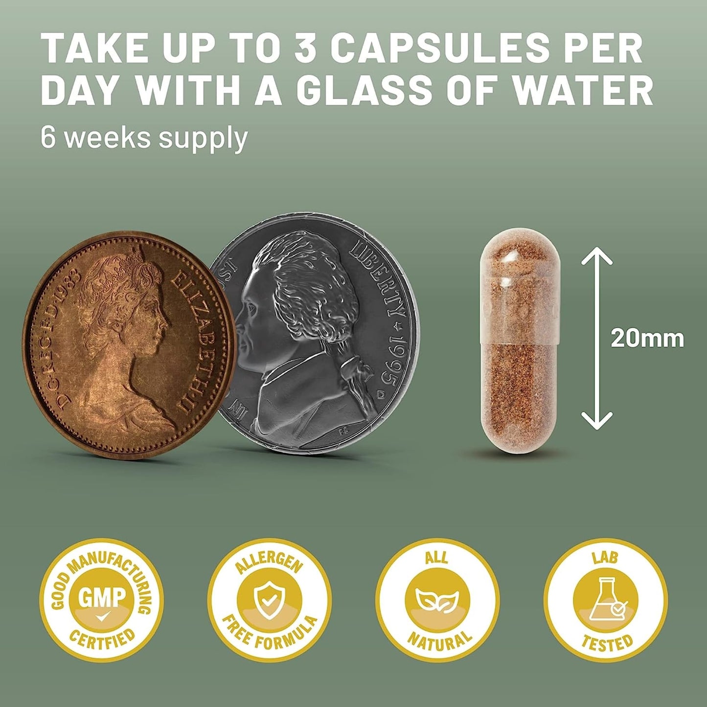 Vegan Vitality Mushroom Complex 6 Lions Mane Mushroom Supplement 360 Capsules High Strength Vegan Supplement with Lions Mane, Reishi, Chaga Mushroom Powder, Shitake, Cordyceps & Maitake