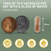 Vegan Vitality Mushroom Complex 6 Lions Mane Mushroom Supplement 360 Capsules High Strength Vegan Supplement with Lions Mane, Reishi, Chaga Mushroom Powder, Shitake, Cordyceps & Maitake