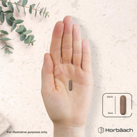Horbäach Reishi Mushroom Capsules 10,000mg | Red Reishi Extract (5:1) | High Strength Supplement | 100 Powder Capsules | by Horbaach