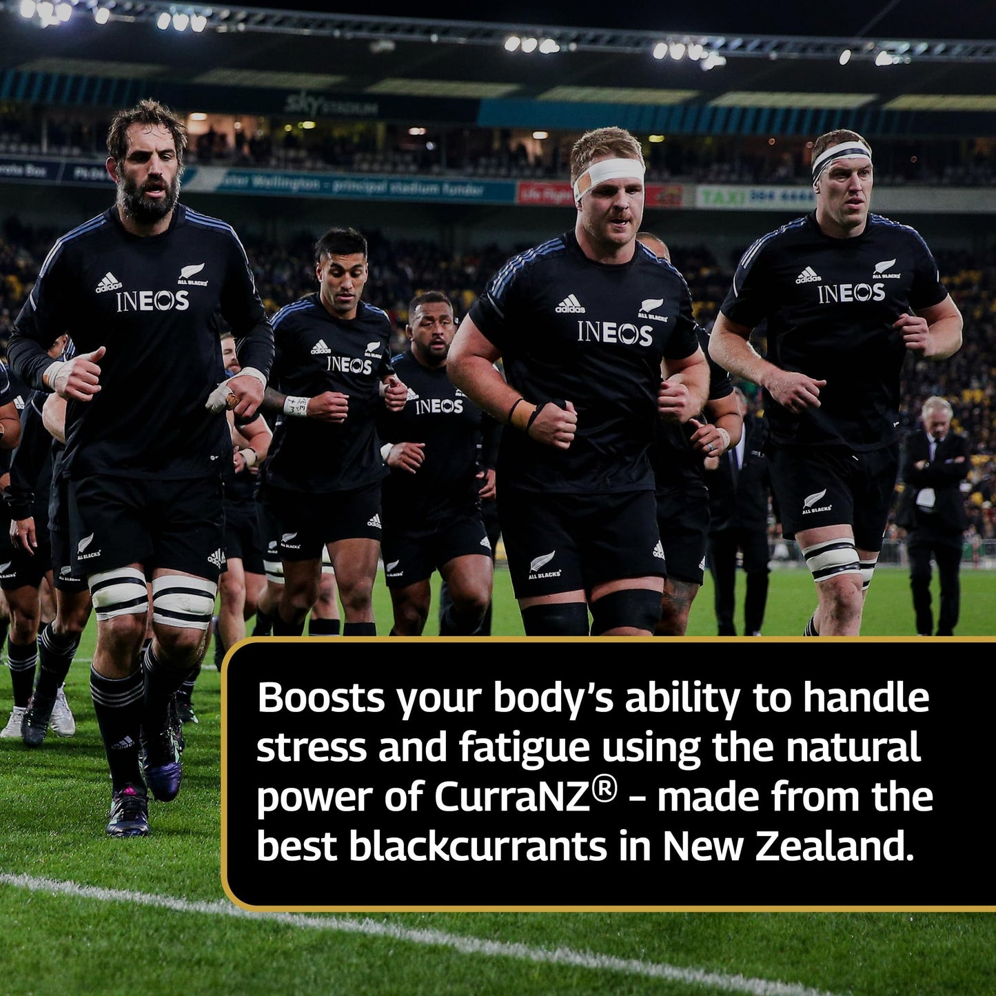 Healthspan Elite All Blacks CurraNZ Blackcurrant Extract 300mg (1 Month Supply) | Helps The Body Overcome Stress & Exertion | 300mg Natural Extract Per Capsule | 35% Anthocyanin | Vegan Friendly