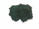 SR-SPEEDRANGE Spirulina, (200g)