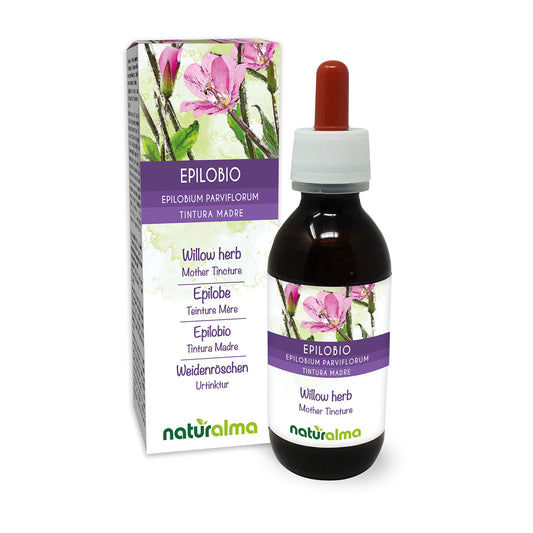 Willow herb or Fireweed (Epilobium parviflorum) herb Alcohol-Free Mother Tincture Naturalma - Liquid Extract Drops 120 ml - Food Supplement - Vegan