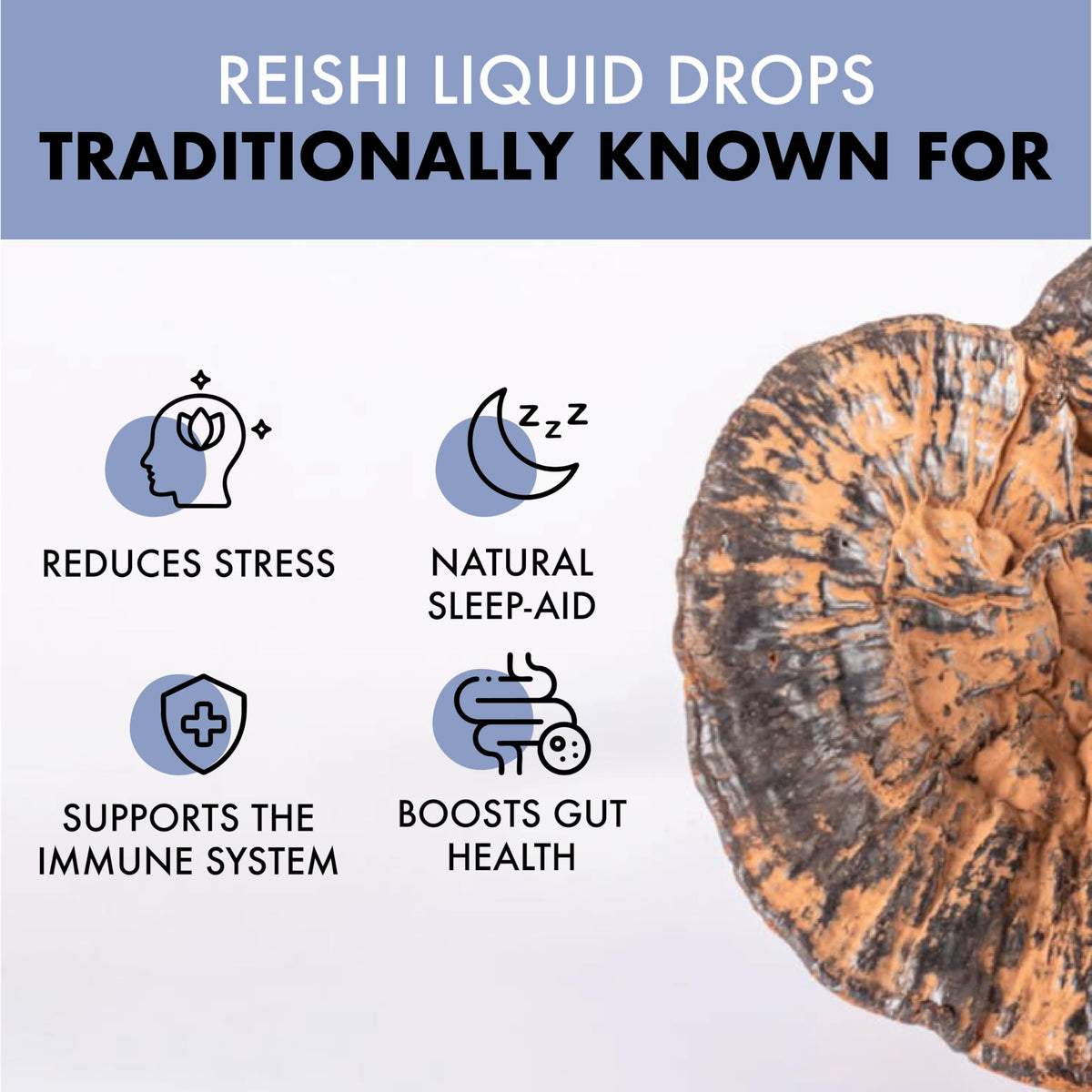 Love Mushrooms - Organic Reishi Mushroom Tincture - 50,000mg - Restfulness and Essential Balance Support - Vegan and UK Made Brain Supplement - Natural Colours and Flavours - 50ml Tincture