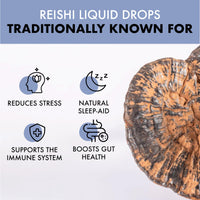 Love Mushrooms - Organic Reishi Mushroom Tincture - 50,000mg - Restfulness and Essential Balance Support - Vegan and UK Made Brain Supplement - Natural Colours and Flavours - 50ml Tincture