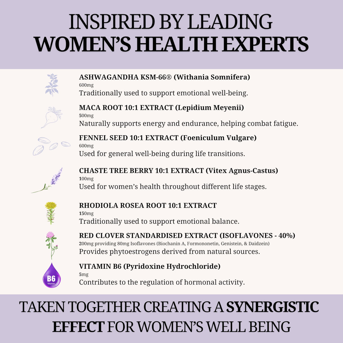 The Supplement Stack – Perimenopause & Menopause – Ashwagandha KSM-66®, Maca, Fennel, Chaste Tree Berry, Red Clover, Rhodiola, Vitamin B6 for Hormone Regulation | 120 Capsules – UK Company