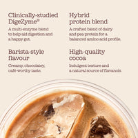 Protein Iced Coffee | 19g Protein & 80mg Caffeine per Serving | Only 97Kcal | Low Calorie + High Protein | Whey Protein & Pea Protein Isolate Blend + Digestive Enzymes | Café Frappé | Free Soul