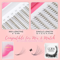 LLBA LashFolio Narrow Promade Fans | Handmade Volume Eyelashes | Multi Selections 5D~10D | C CC D Curl | Thickness 0.03~0.07mm | 8-15mm Length | Long Lasting & Easy Application (5D-0.07 C 8mm-15mm)