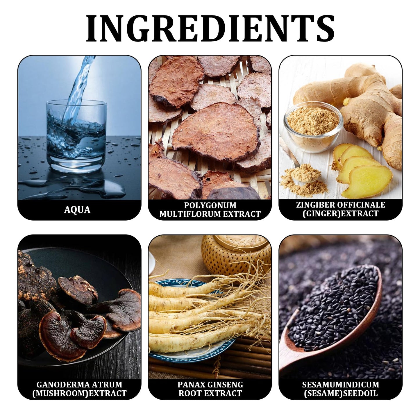 LINXINS Black Hair Shampoo for Natural Hair Colour Instant Black Hair Shampoo Hair Dye Shampoo for Men Women 3 IN 1 Long Lasting and Plant Formula (100ml)