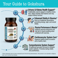 DR WAKDE's DR WAKDE'S Gokshura Capsules (Tribulus terrestris) - 60 Veg Caps | 100% Pure, All-Natural | Vegan, Plant-Based, Supports Vitality and Urinary Health