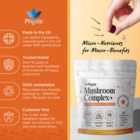 Physis Mushroom Gummies Complex+ | Lions Mane Supplement with Cordyceps & Nootropics | High Strength | 60 x Juicy Blackcurrant Chewables | 1 Month Supply | Neuro-Support | Focus & Attention