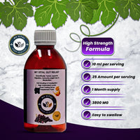MY VITAL KEEP HEALTHY Gut Relief Syrup Elderberry 250ml – Supports Digestion, Immunity, Bloating Relief, Weight Management & Metabolism with Ajwain, Saunf, Methi, Haldi & Dalchini – My Vital Keep Healthy