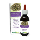 Iceland Moss (Cetraria islandica) Thallus (Lichen) Alcohol-Free Mother Tincture Naturalma | Liquid Extract Drops 120 ml | Food Supplement | Vegan