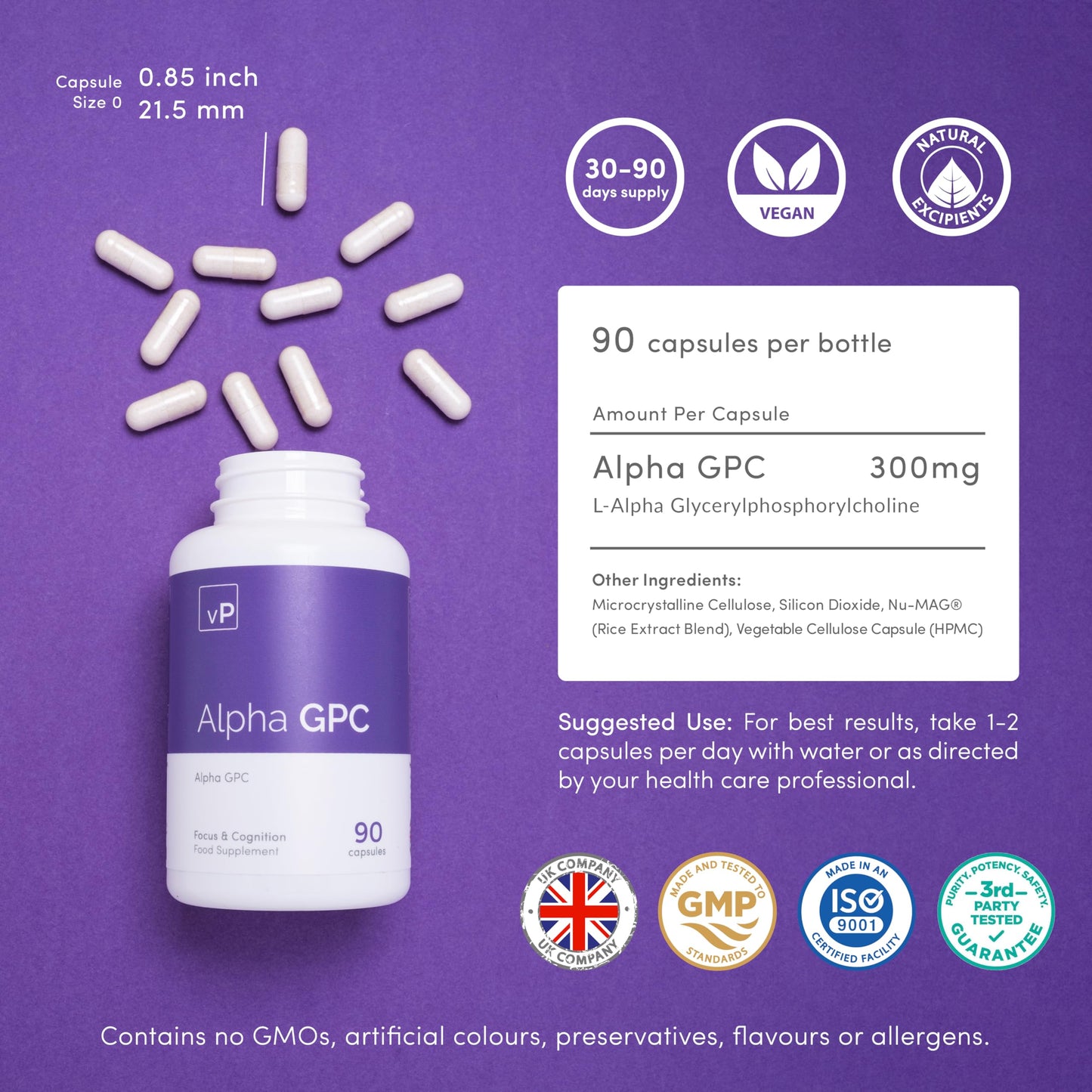 vP Vitality Pro Alpha GPC 300mg x 90 Capsules - Over 99% Purity and 40% Choline Third Party Tested - L-Alpha-Glycerylphosphorylcholine Supplement - Vitality Pro
