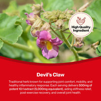 Hepatica Devil’s Claw 10:1 Extract – 5000mg Equivalent | 120 Vegan Capsules | High-Strength Joint & Anti-Inflammatory Support | Natural Aches & Mobility Relief Supplement | GMP & 3rd Party Lab Tested