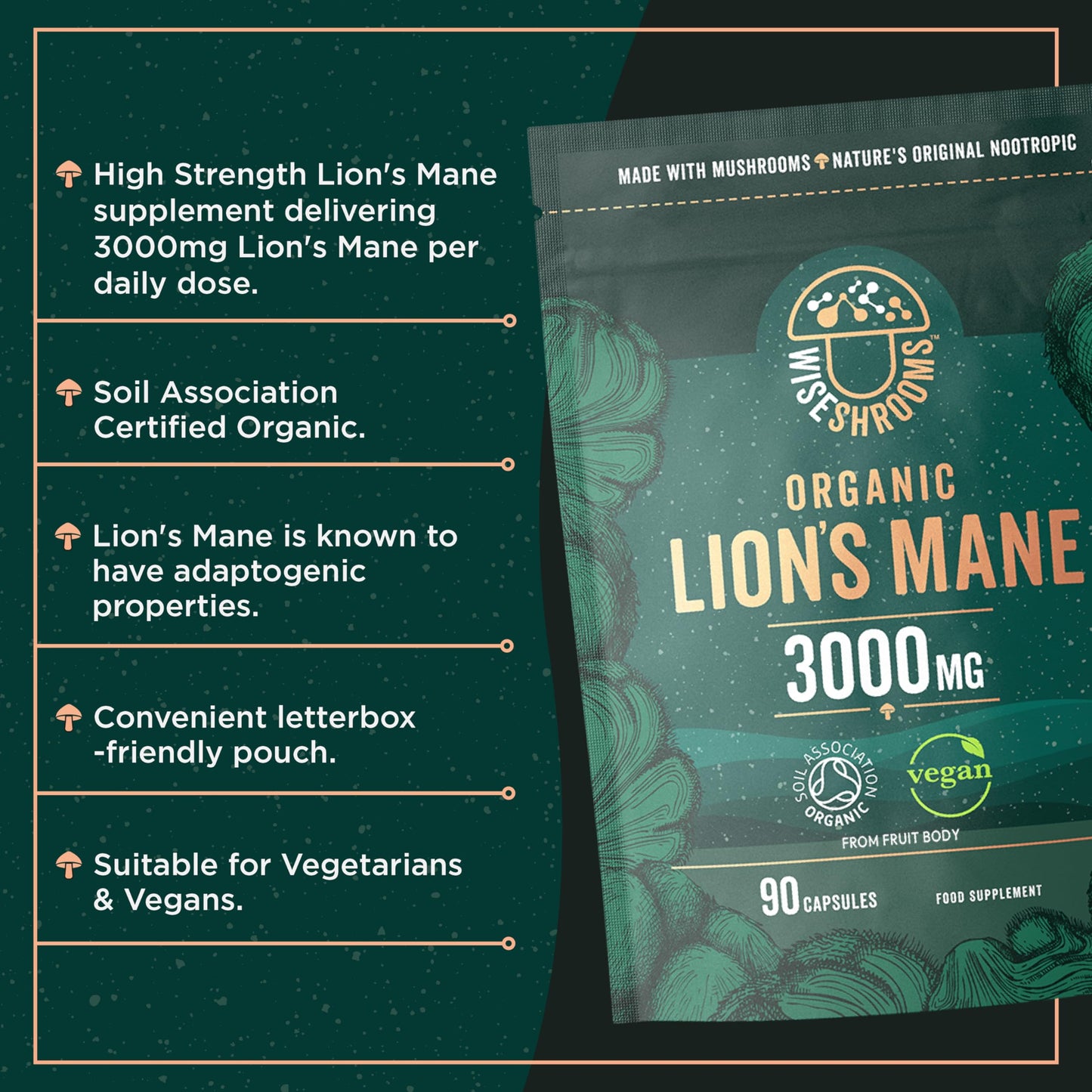 Lions Mane Supplement 3000mg | Organic | High Strength Mushroom Supplement | from Fruit Body | 90 Vegan Capsules | by Wiseshrooms