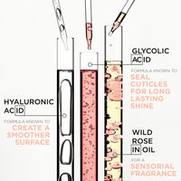 Kérastase Gloss Absolu Shampoo for All Hair Types, with Glycolic Acid, Hyaluronic Acid & Wild Rose 250ml