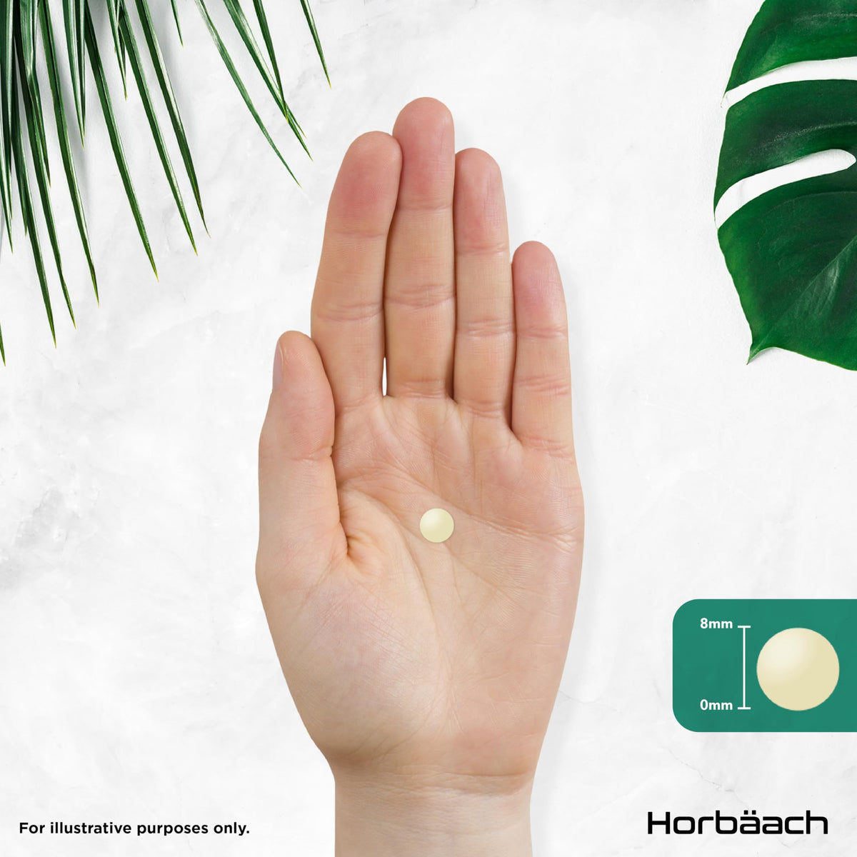 Horbäach Vitamin B Complex High Strength | 365 Tablets (1 Year Supply) | All 9 B Vitamins | Vitamin B1, B2, B3, B5, B6, B12, Choline, Folic Acid & Biotin | Vegan | by Horbaach