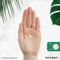 Horbäach Vitamin B Complex High Strength | 365 Tablets (1 Year Supply) | All 9 B Vitamins | Vitamin B1, B2, B3, B5, B6, B12, Choline, Folic Acid & Biotin | Vegan | by Horbaach