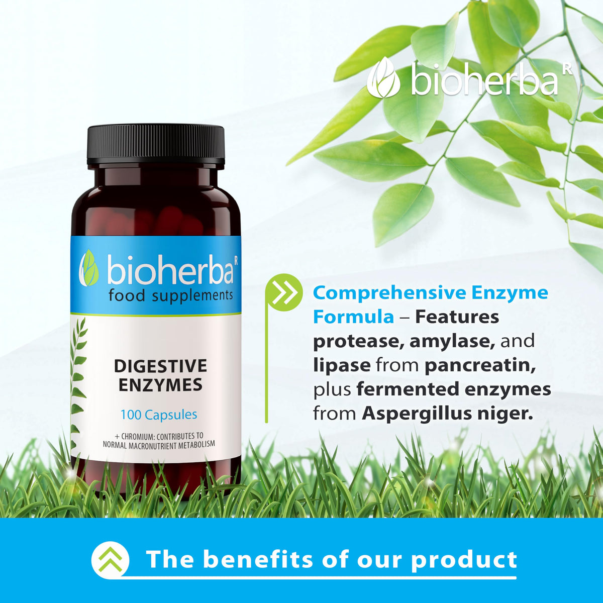 Digestive Enzymes Complex – 100 Capsules from BIOHERBA