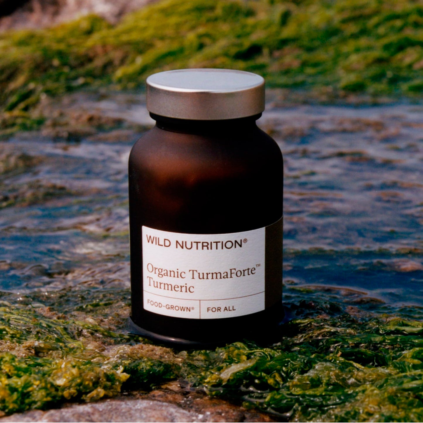 Wild Nutrition Food-Grown® Turmaforte Turmeric | Organic Turmeric Capsules | High Absorption Muscle & Joint, Antioxidant, & Immune Support | Curcumin Supplements | 60 Capsules