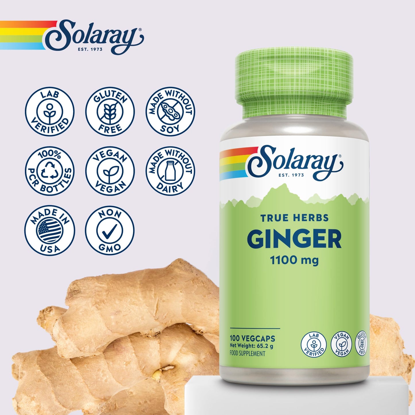 SOLARAY Ginger - 100 Vegan Capsules - High Strength Ginger Supplement Not Tablets or Shot - Zingiber Officinale Root - Non GMO & Lab Verified - Solaray