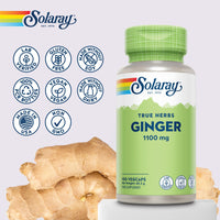 SOLARAY Ginger - 100 Vegan Capsules - High Strength Ginger Supplement Not Tablets or Shot - Zingiber Officinale Root - Non GMO & Lab Verified - Solaray