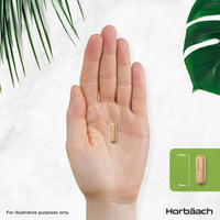 Horbäach Ashwagandha KSM-66 Complex with Magnesium, Zinc & Vitamin B6 | High Strength Ashwagandha Root Supplement | 120 Vegan Capsules | Horbaach
