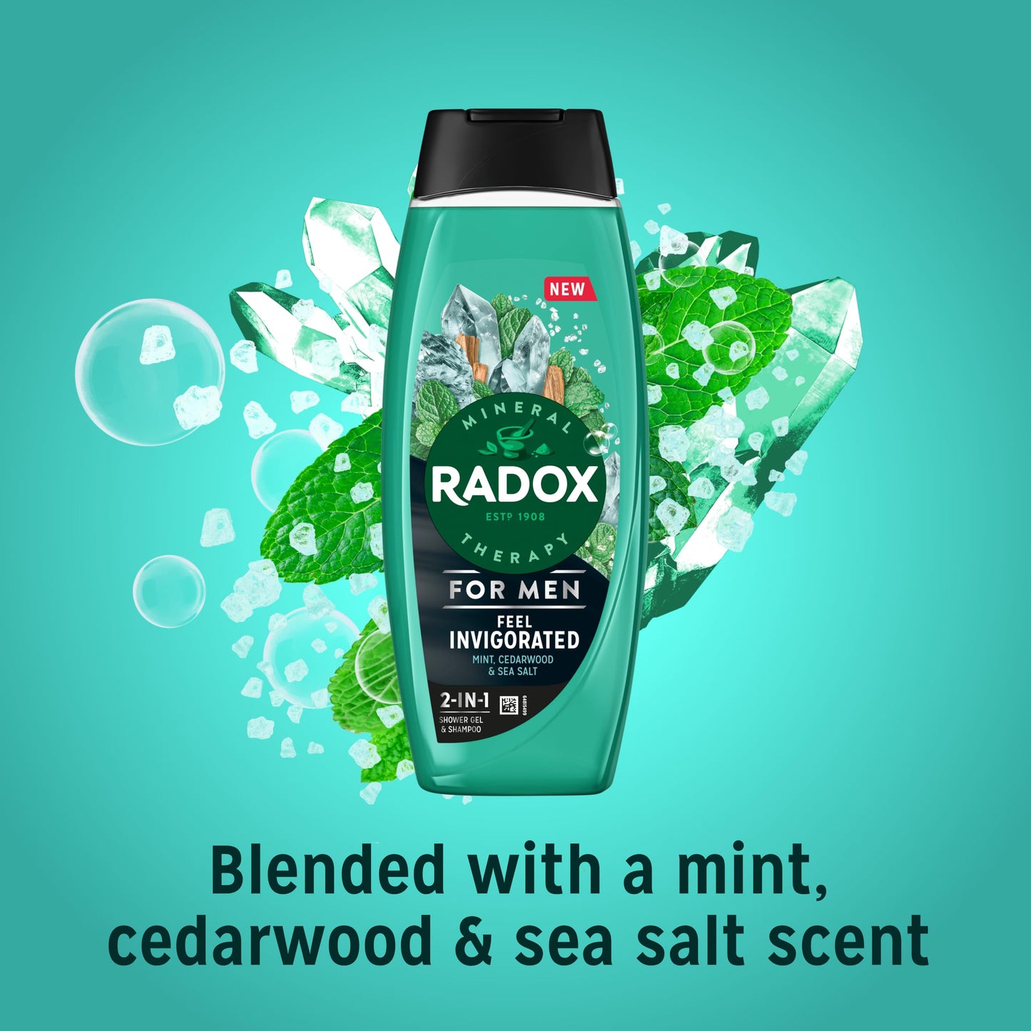 Radox Mineral Therapy Feel Invigorated 2-in-1 Shower Gel & Shampoo Men's Body Wash with sea salt, cedarwood & mint scent for a refreshing experience 450 ml