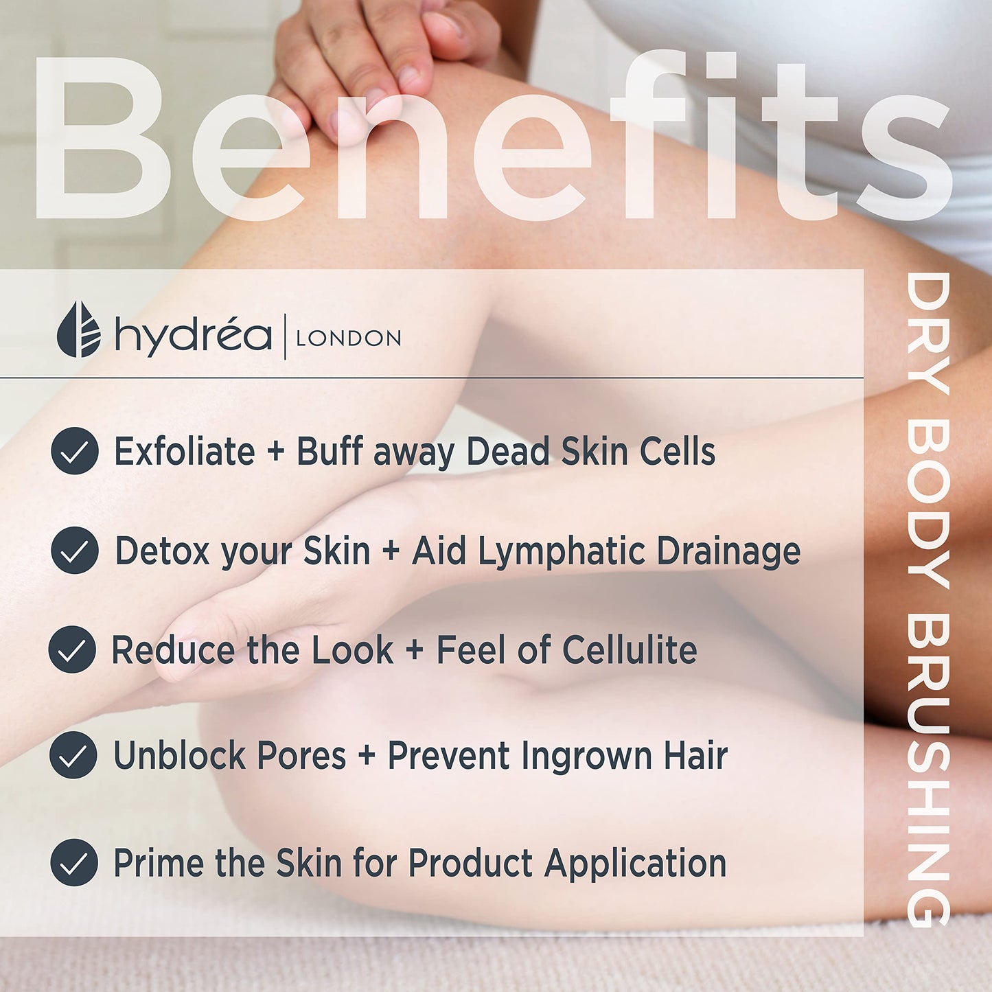 Hydrea London Dry Body Brush Vegan – Premium Exfoliating Skin Brush with Extra Long Cactus Bristle, Dry Brush Cellulite Remover, Exfoliating Body Scrubber, FSC® Certified Beechwood.