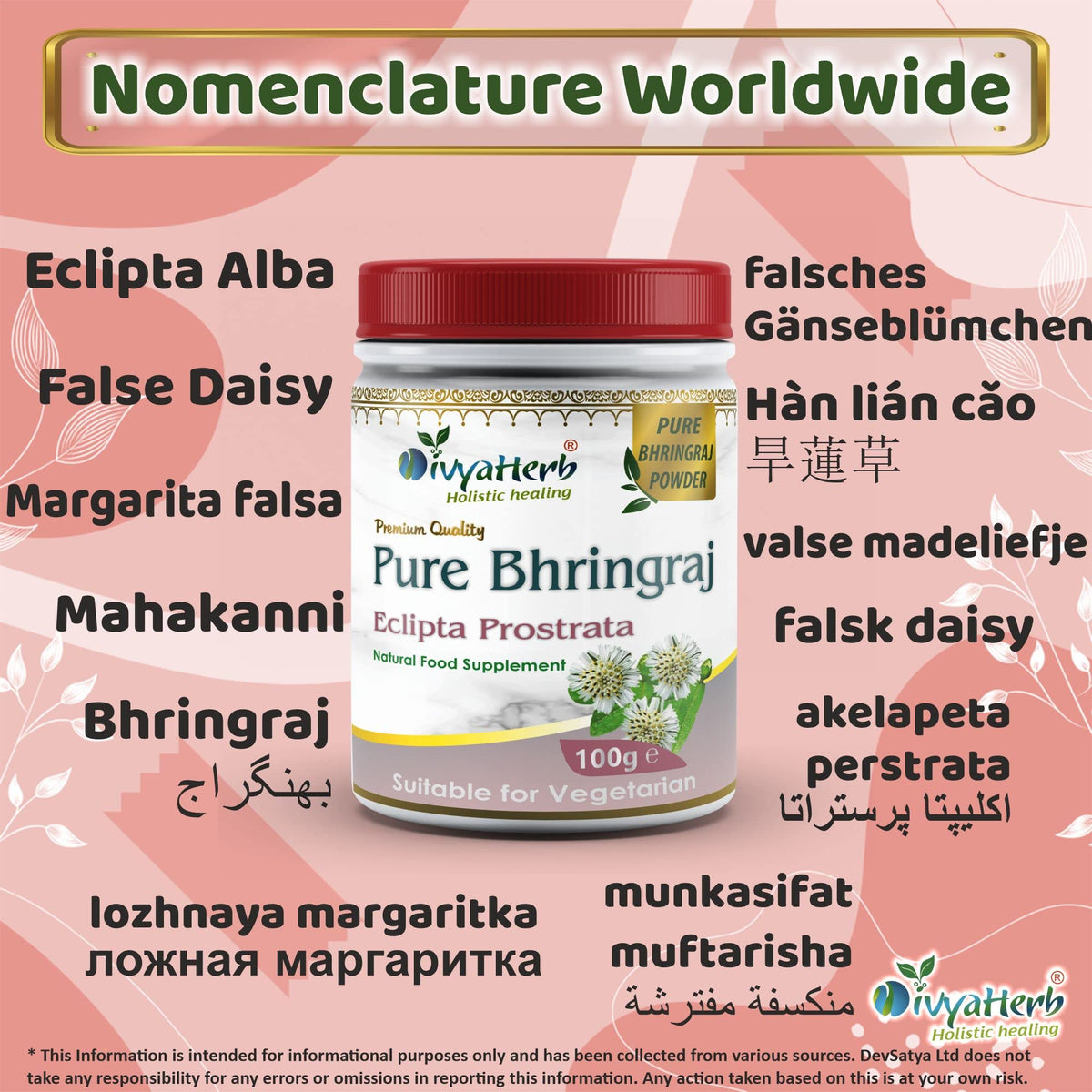 DivyaHerb Pure Bhringraj Powder