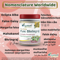 DivyaHerb Pure Bhringraj Powder