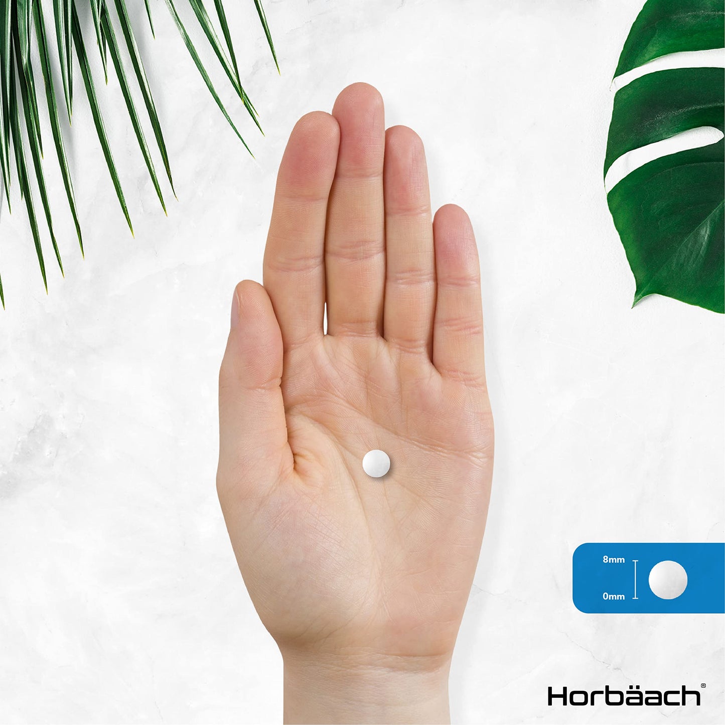 Horbäach Vitamin B6 100mg | 180 High Strength Tablets | Regulation of Hormonal Activity & Fatigue Support | Suitable for Vegans & Vegetarians | by Horbaach
