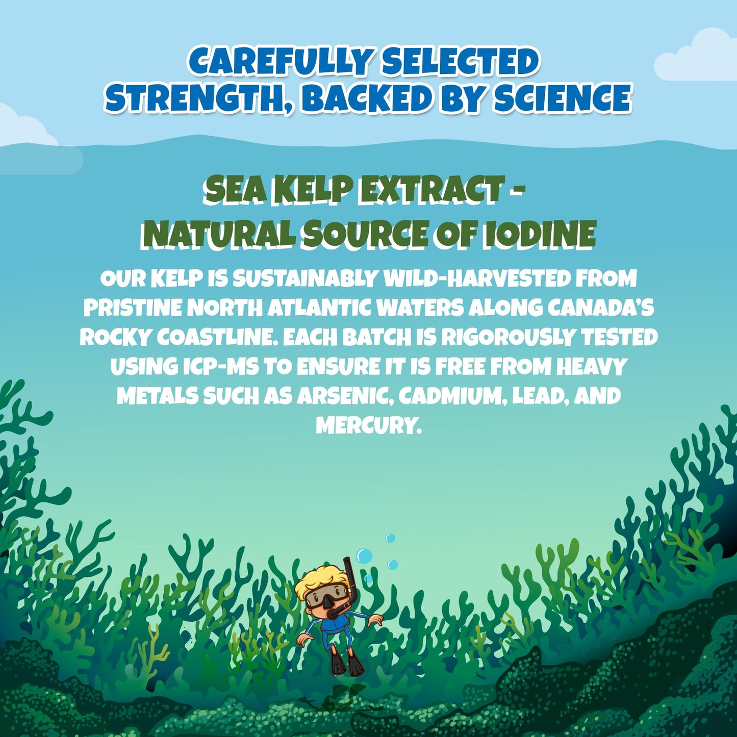 Health4All Kids Sea Kelp Iodine 75mcg 90 Chewable Tablets, Supports Learning & Growth